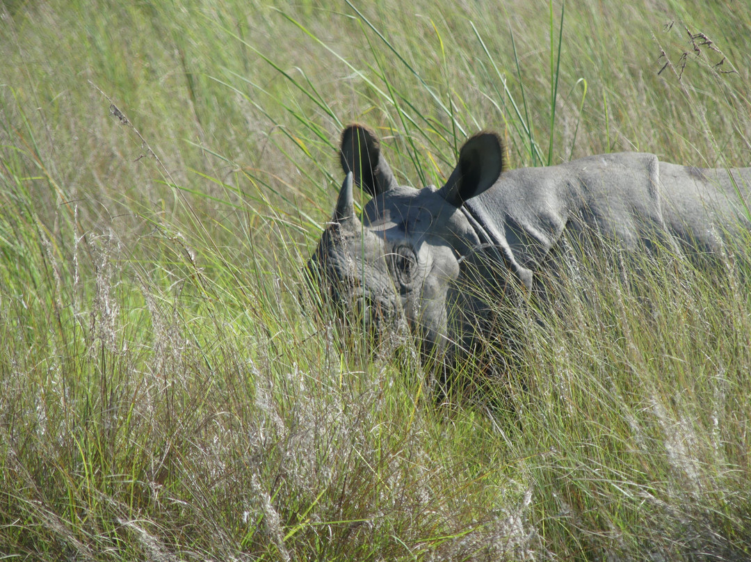 Himalaya Sunrise Treks And Expedition Pvt.Ltd-加德满都必去景点