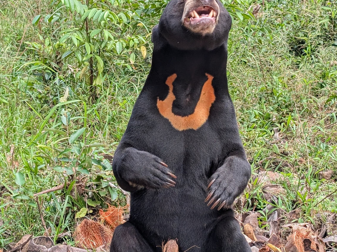 Wildlife Alliance-戈公必去景点