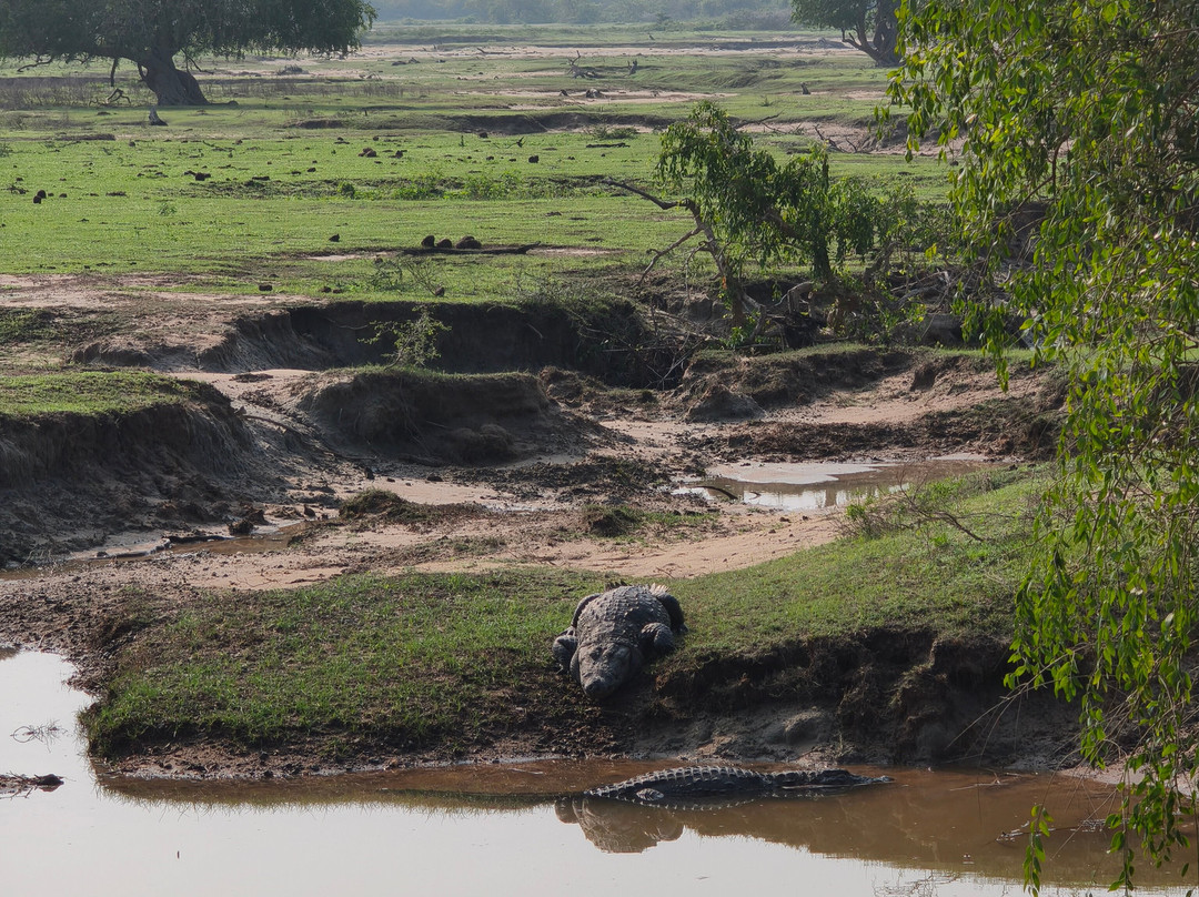 Yala Bundala NPA Safari-蒂瑟默哈拉默必去景点
