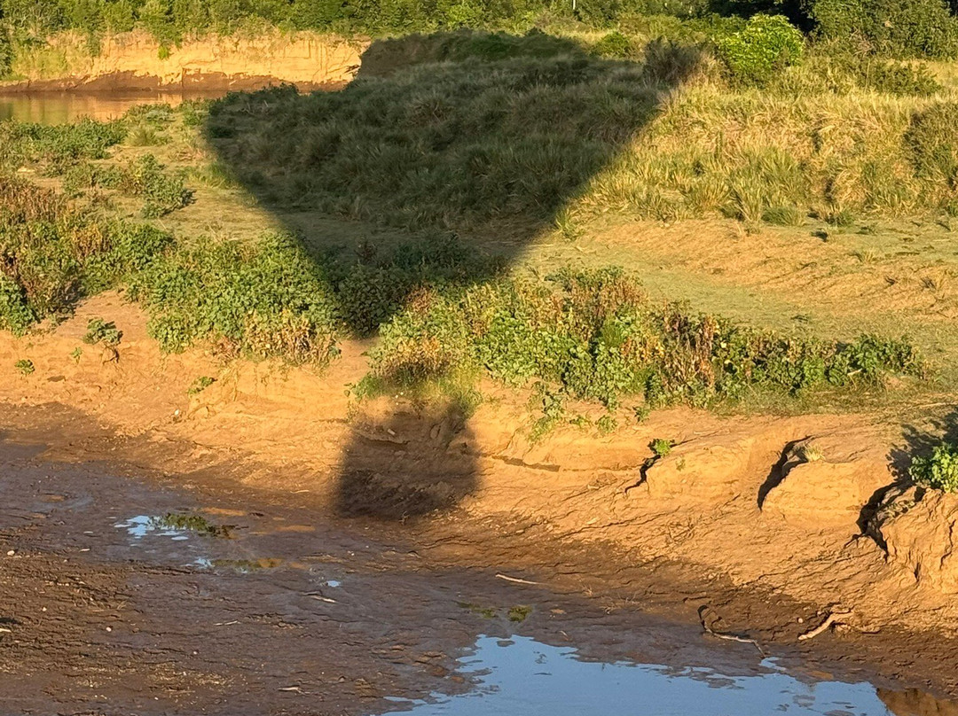 Skyship Co. Balloon Safaris-马赛马拉国家野生动物保护区必去景点