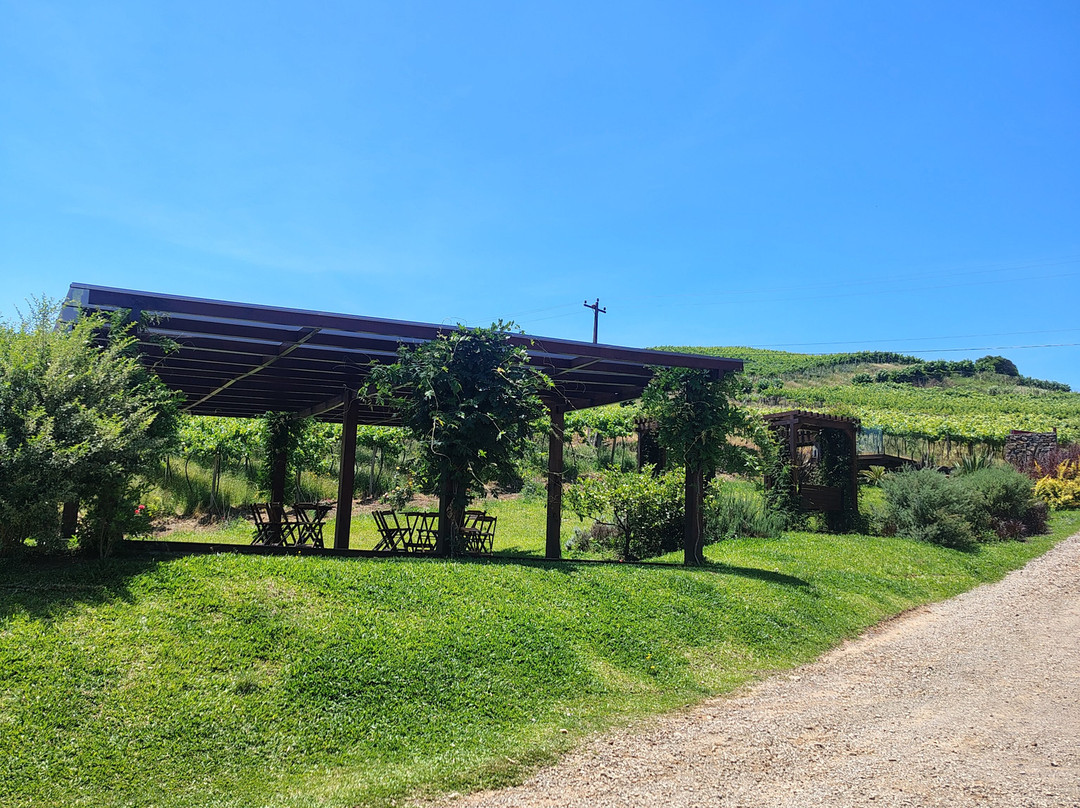 Vinhos Foresti-Pinto Bandeira必去景点