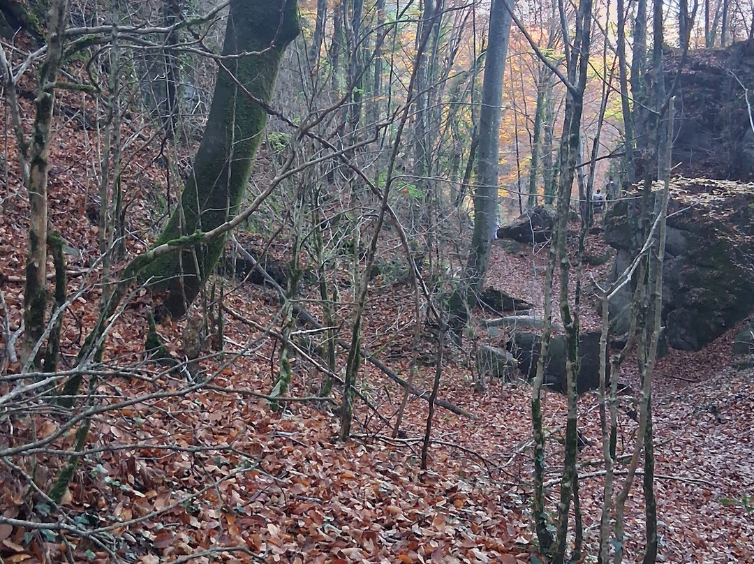 Bufadors de Bevi-Santa Maria de Besora必去景点