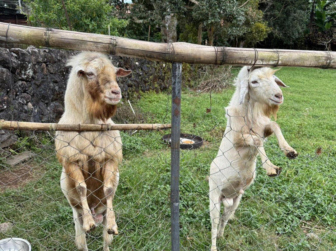 Jungla de Panama Wildlife Refuge-波魁特必去景点