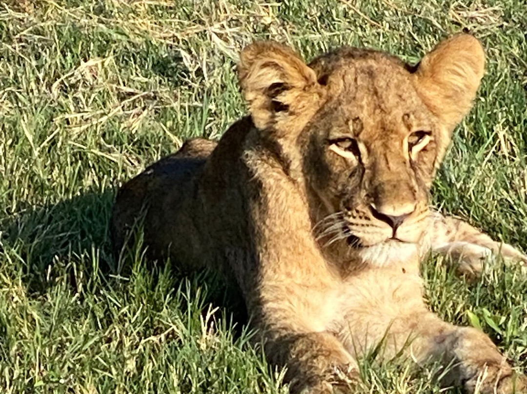 Top Africa Safaris-迪亚尼必去景点