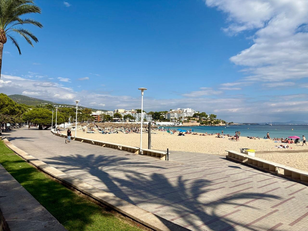 Palma Nova Beach-Palmanova必去景点