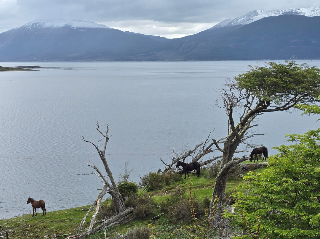 Errante Ecolodge主图