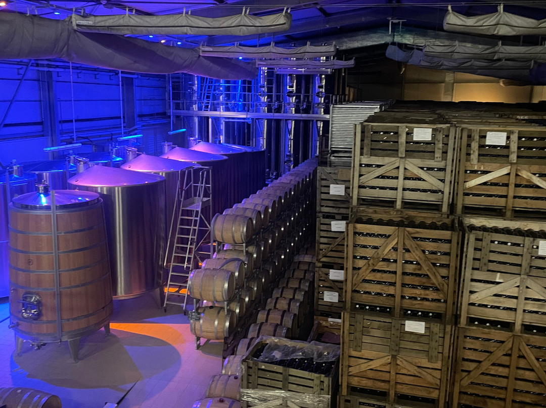 Champagne Dom Caudron-Passy-Grigny必去景点