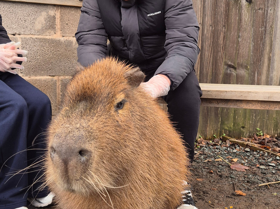 Wild Discovery-普雷斯顿必去景点