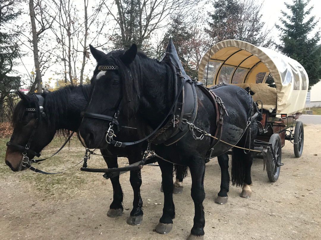 Rosszeit-Deilingen必去景点