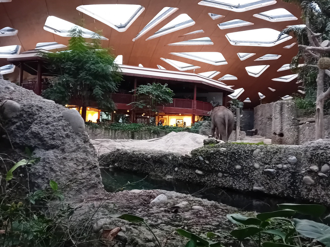 苏黎世动物园-苏黎世必去景点