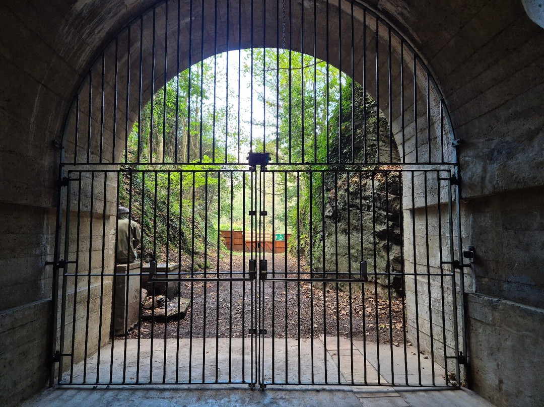 Jersey War Tunnels - German Underground Hospital-St. Lawrence必去景点