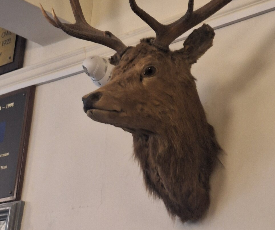 West Highland Museum-威廉堡必去景点