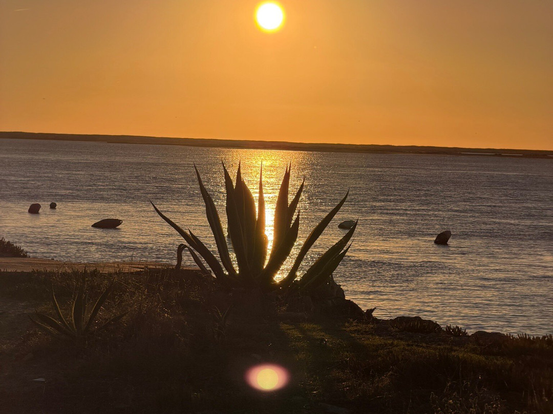 Rota das Ilhas - Boat Tours-奥良必去景点