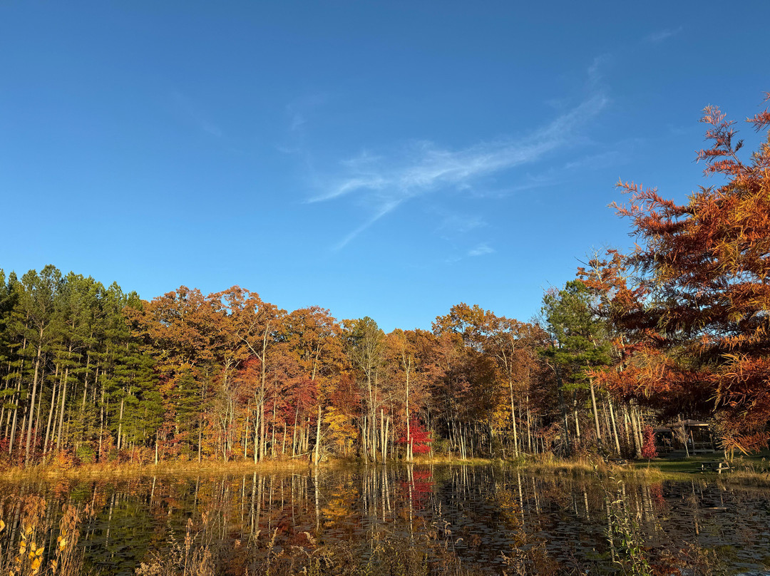 Isha USA-McMinnville必去景点