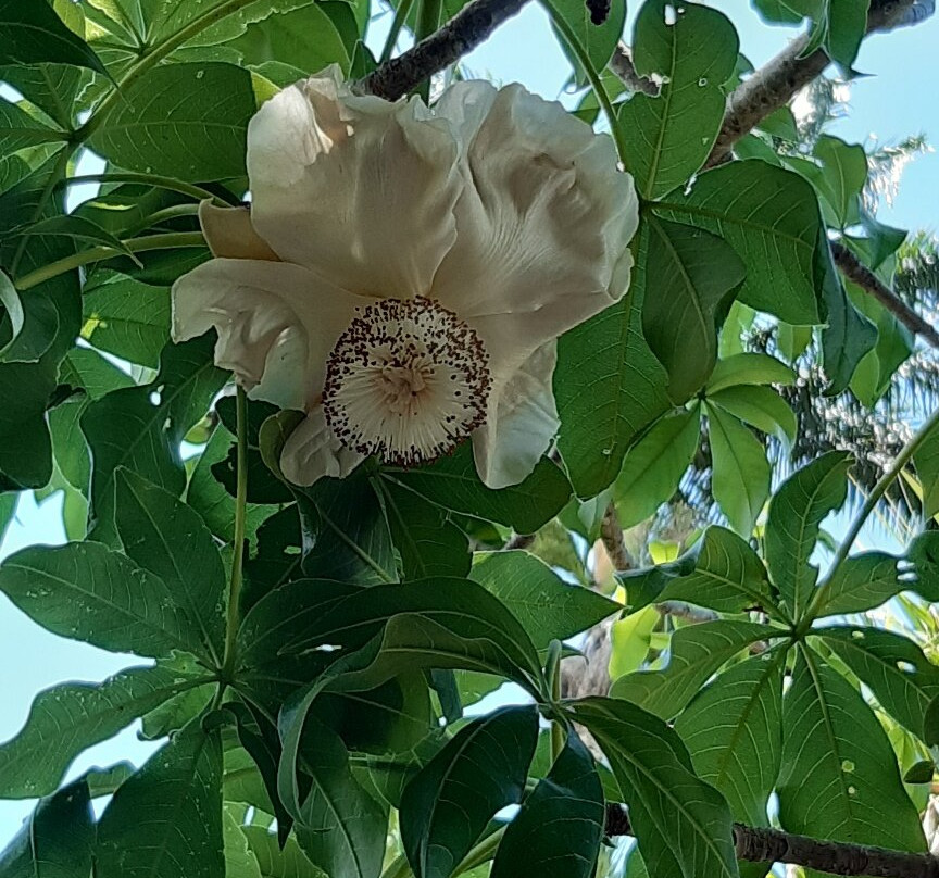 Jardin d'Eden-圣吉尔莱班必去景点