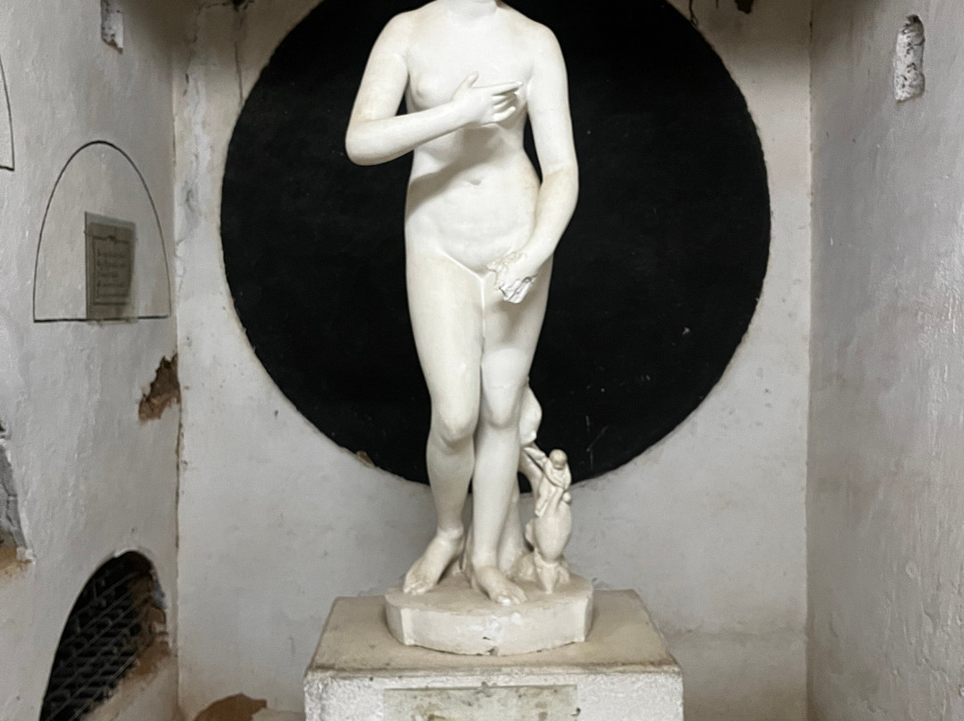 Fundo Los Nichos-Pisco Elqui必去景点