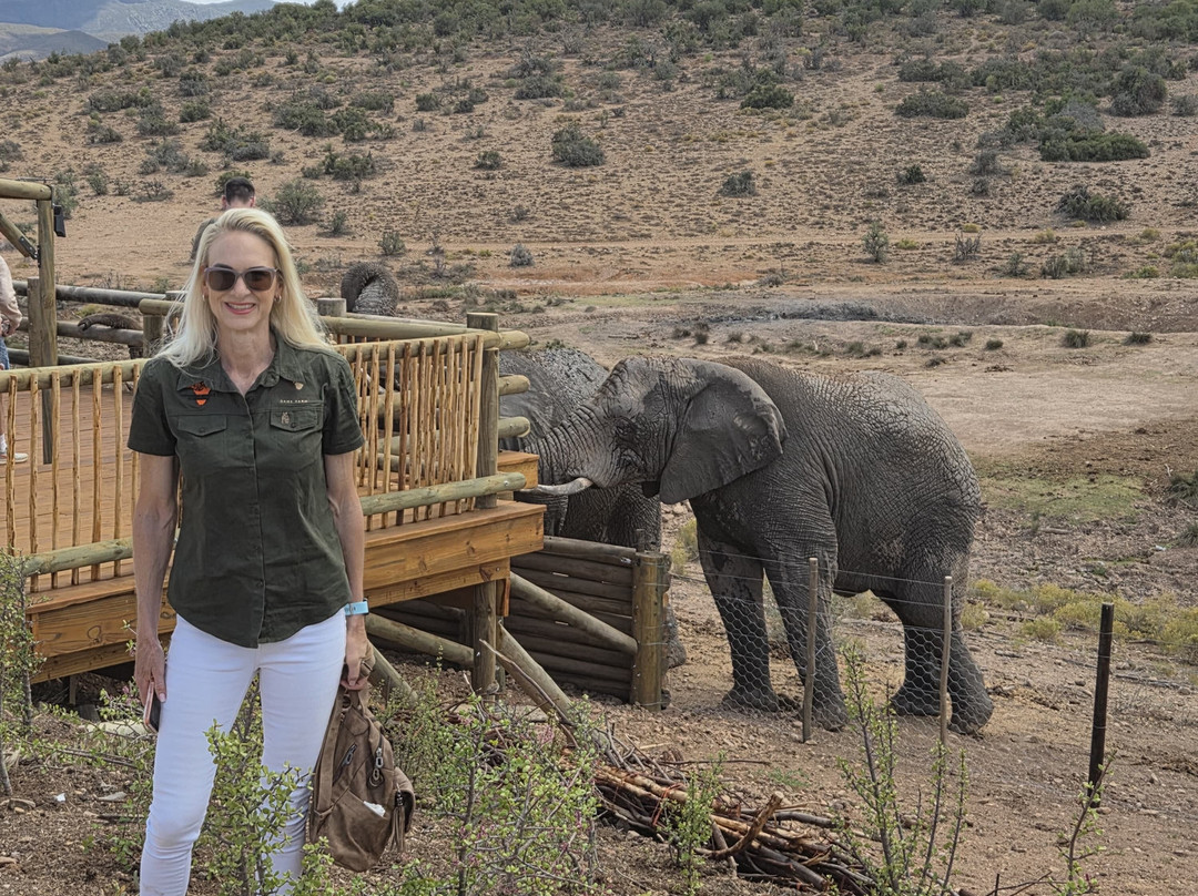 Buffelsdrift Game Lodge - Activities-奥兹洪必去景点