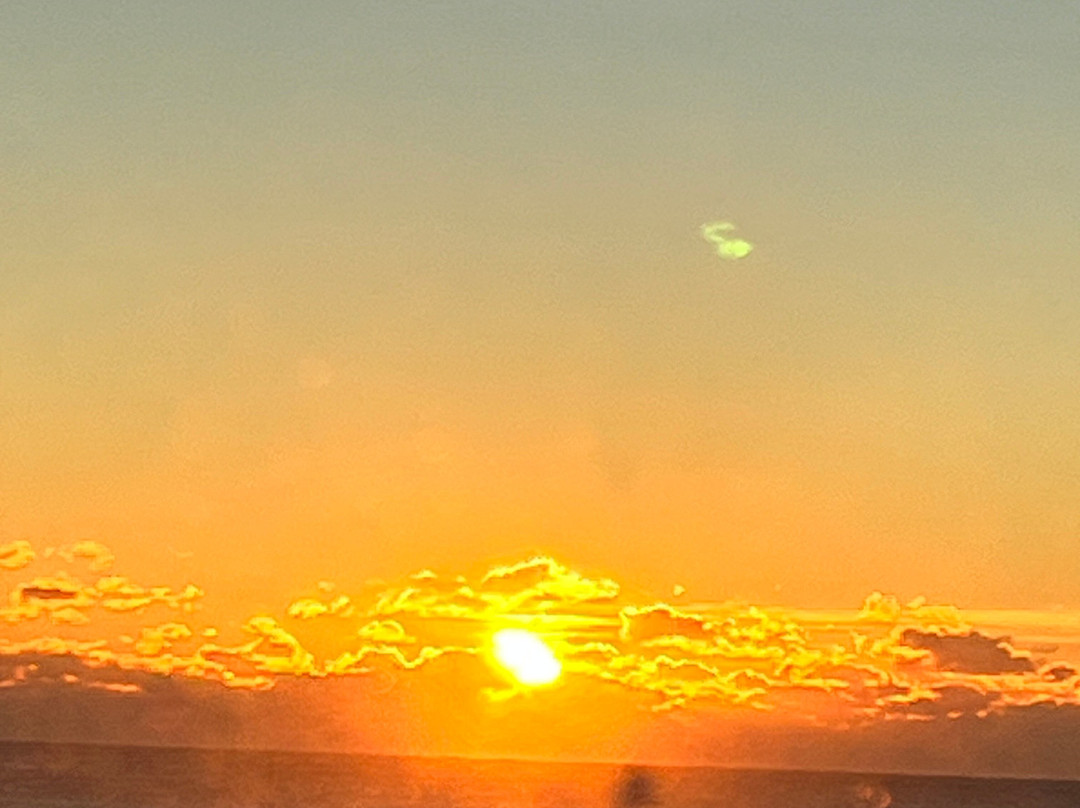 Tides Folly Beach主图