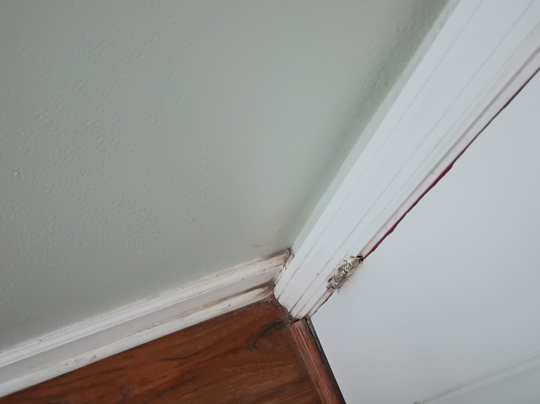 Affordable Suites of America主图