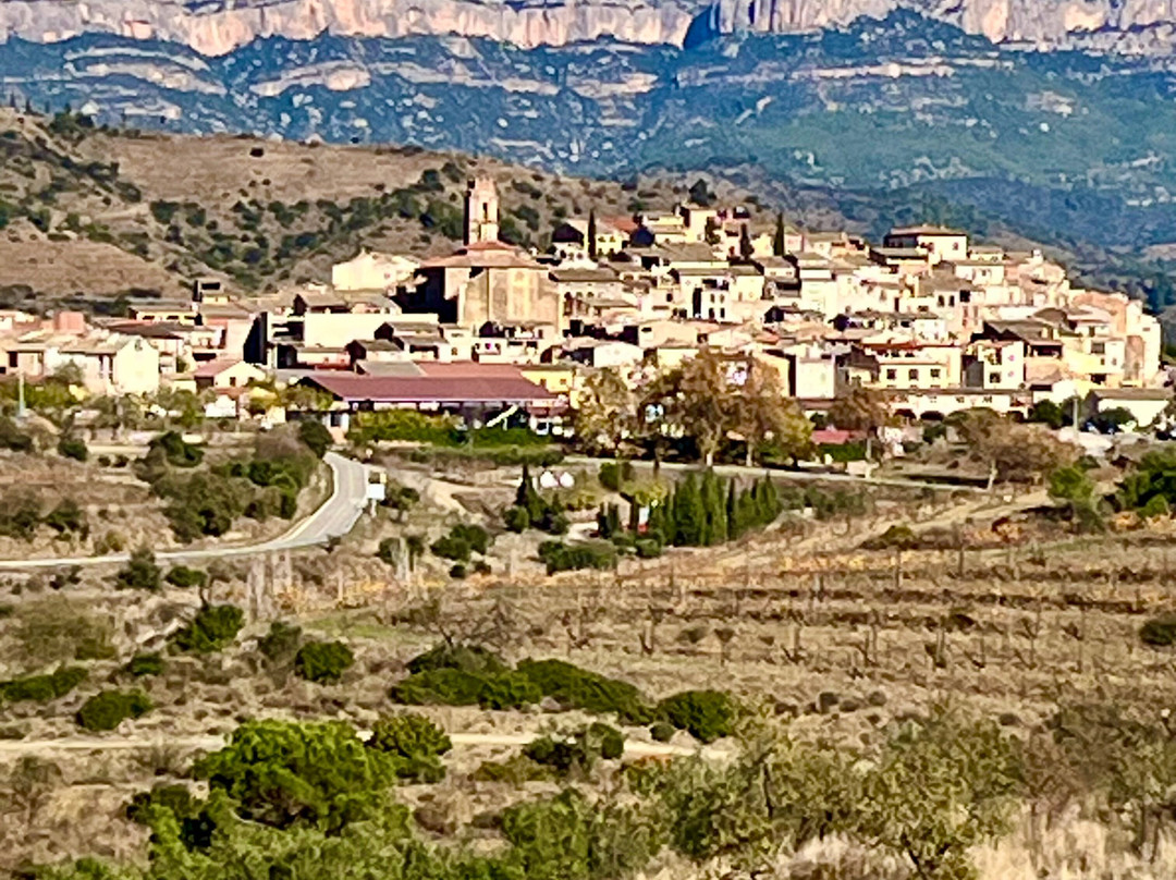 Celler Devinssi-Gratallops必去景点