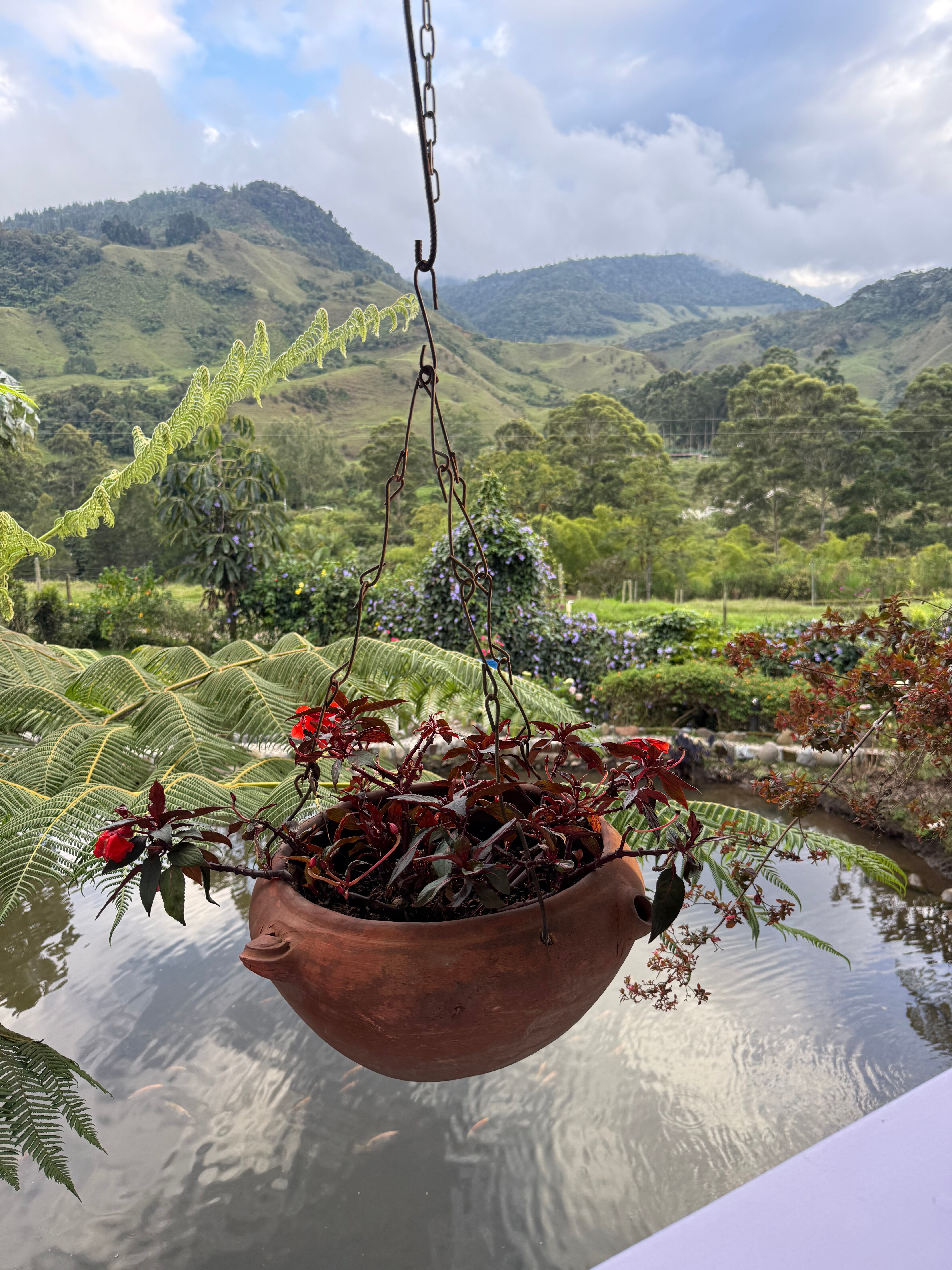 Hotel Y Restaurante Lago La Valdivia-官方