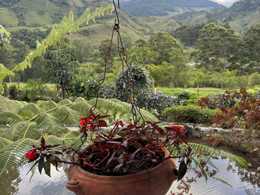 Hotel Y Restaurante Lago La Valdivia主图