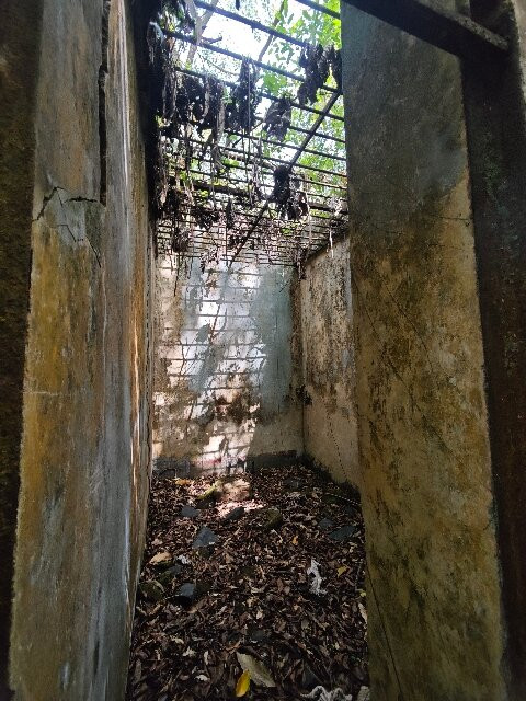 Les Iles du Salut-Kourou必去景点