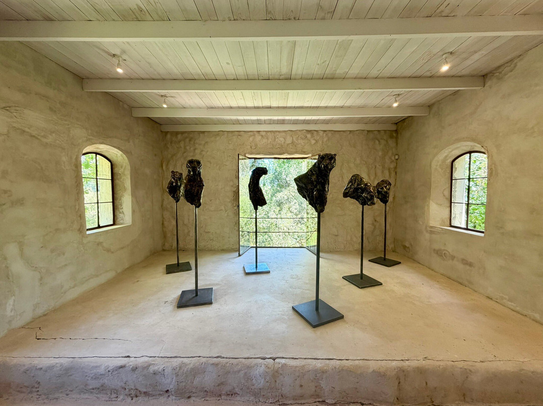 Dylan Lewis Sculpture  Garden-斯泰伦博斯必去景点