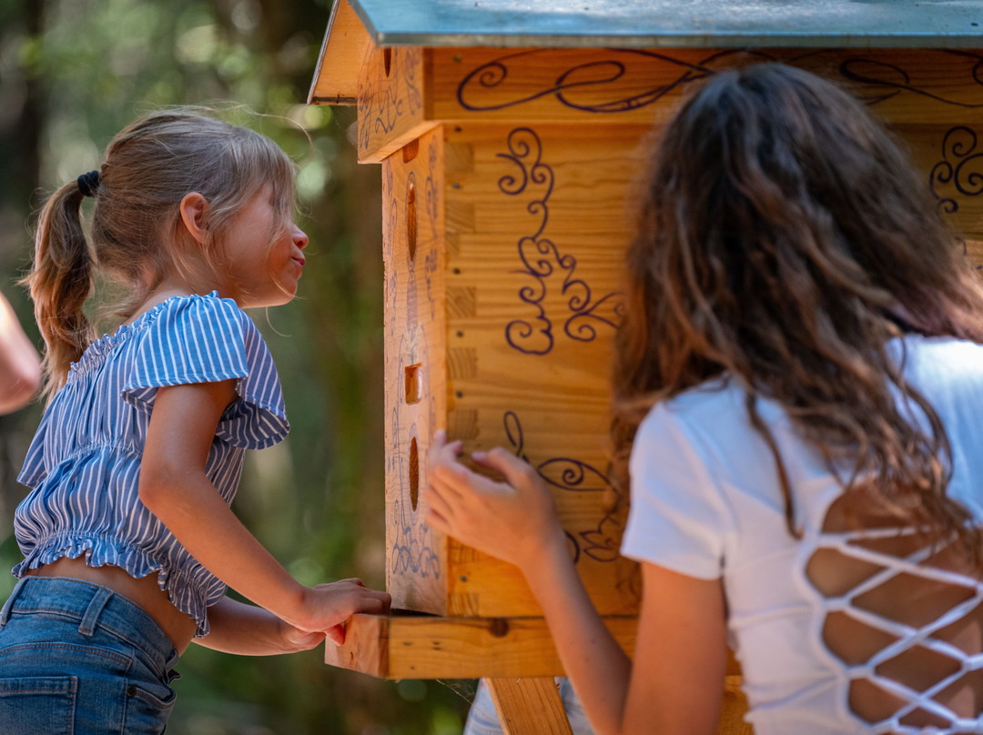 Mission AREKA-Dienne必去景点