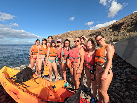 Easy Kayak Tenerife-Palm-Mar必去景点