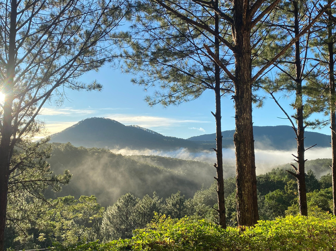 Sivananda Yoga Resort And Training Center-大勒必去景点