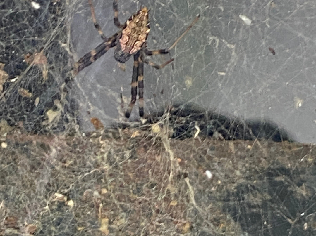 Handunkanda Nature Escape主图