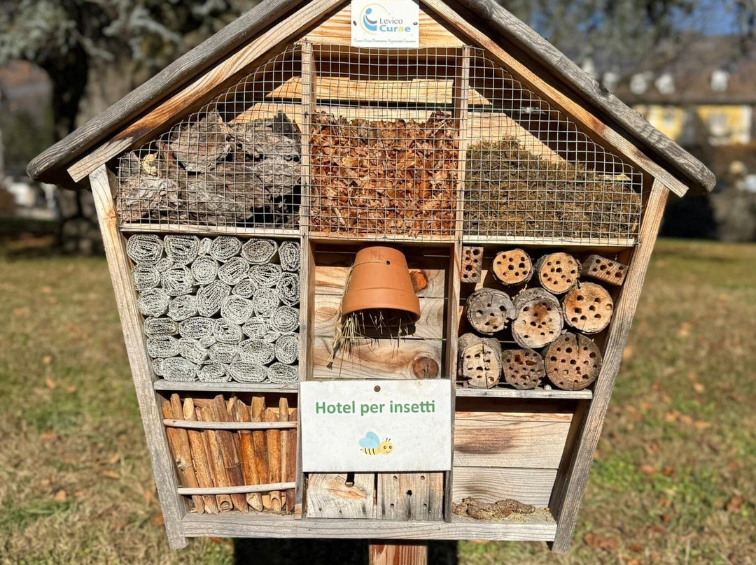 Mercatini Di Natale-莱维科泰尔梅必去景点