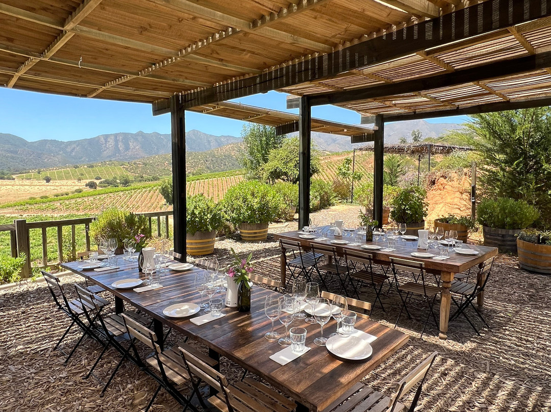 Villard Fine Wines-卡萨布兰卡必去景点