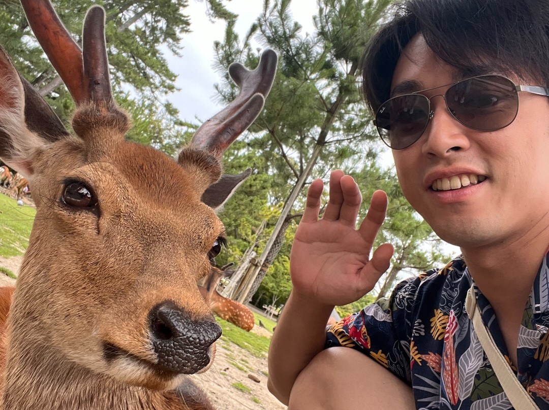 Amazing Kyoto Experience-京都市必去景点