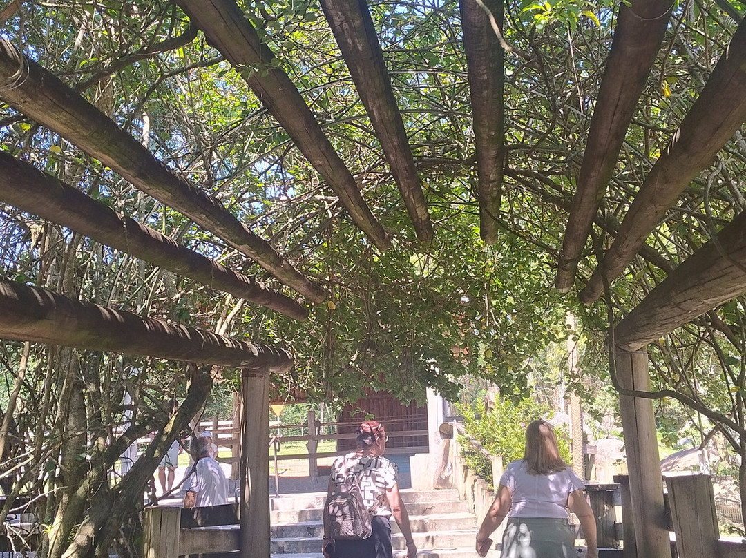 Descubra Floripa-弗洛里亚诺波利斯必去景点