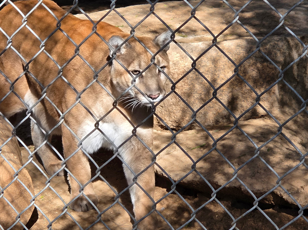 Southwest Wildlife Conservation Center-斯科茨代尔必去景点
