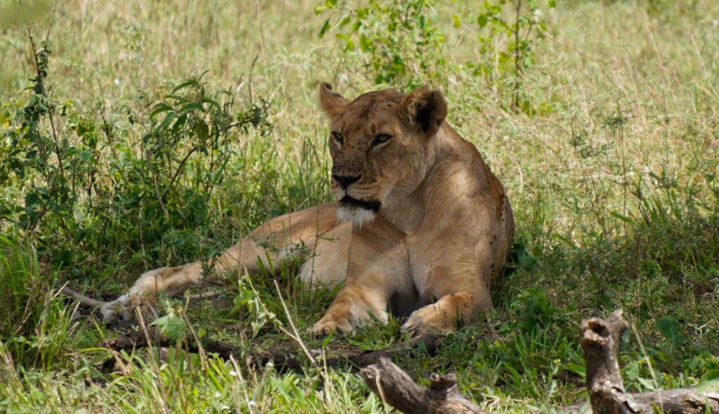 Tansania Reiseabenteuer SDL GmbH-柏林必去景点