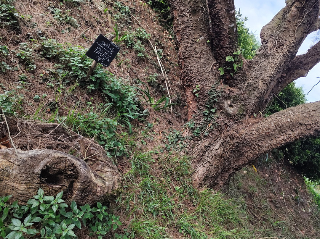 Fonte Baxa-卢阿尔卡必去景点