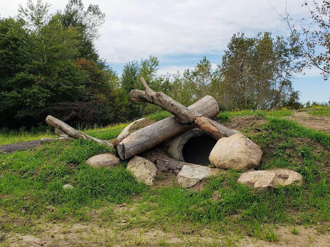 Outdoor Discovery Center-荷兰村必去景点