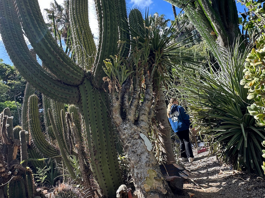 Obesa Cacti Nursery-格拉夫-里内特必去景点