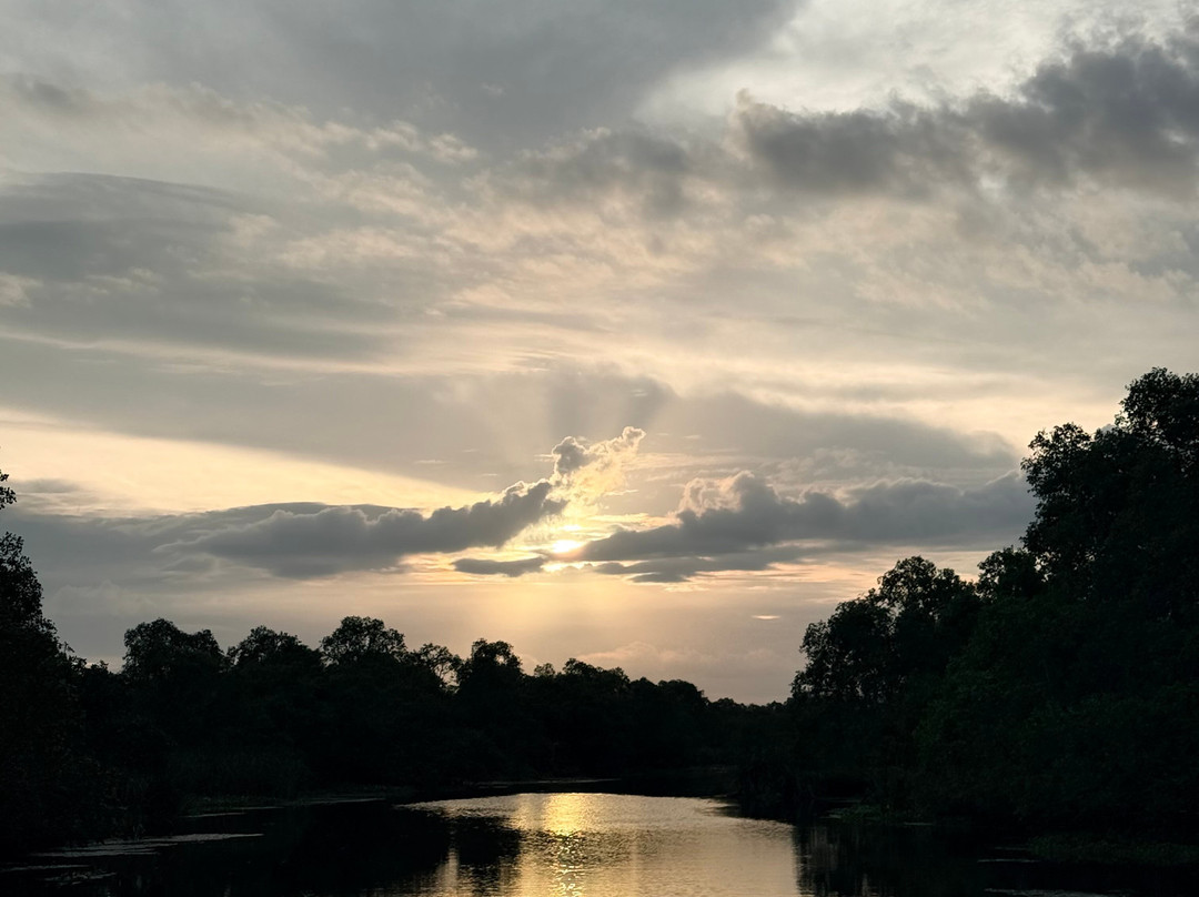 Kalametiya Bird Watching & Ecotourism-Kalametiya必去景点