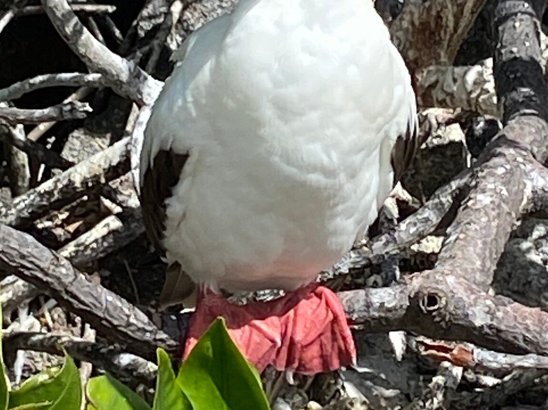 Julio Verne Travel-Riobamba必去景点