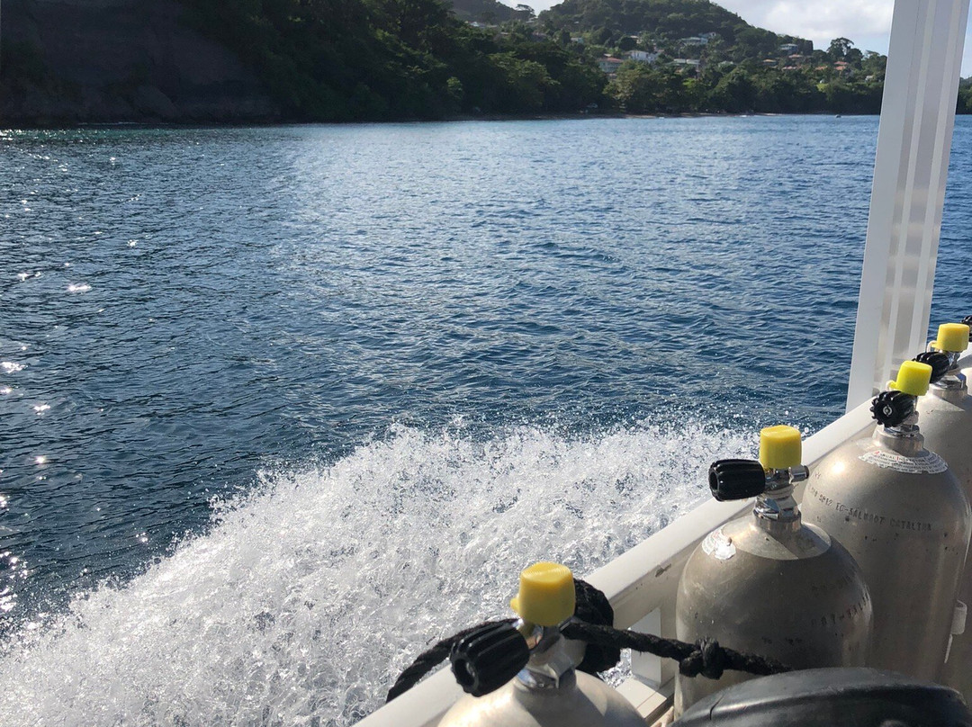 Eco Dive-St. George's必去景点