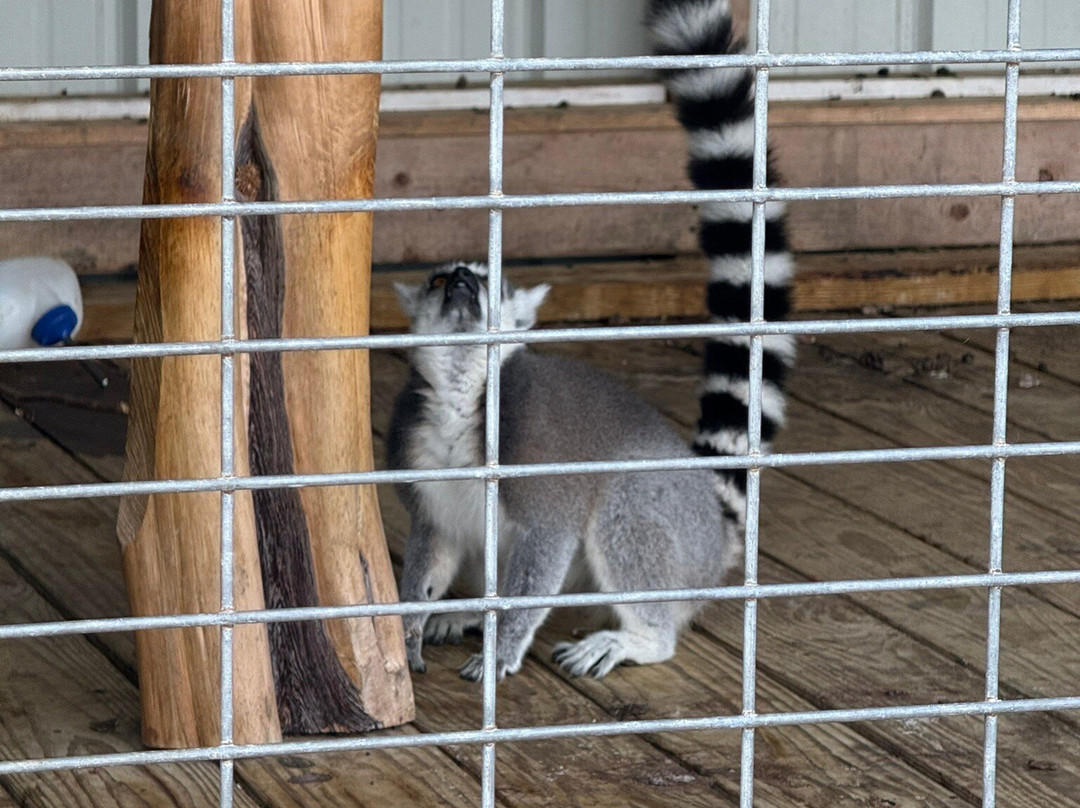 Grapetown Vineyard-弗雷德里克斯堡必去景点