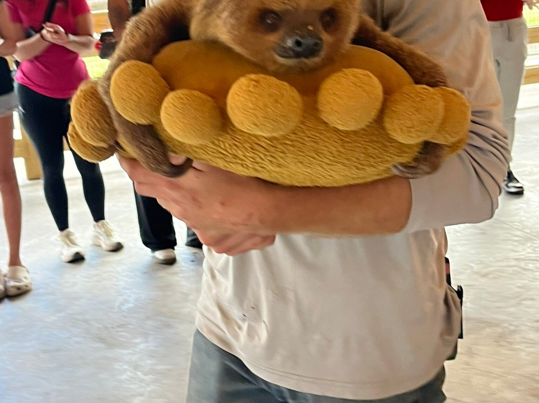 Animal EDventure Park & Safari-博因顿海滩必去景点