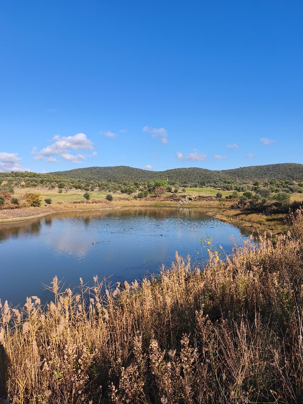 Riva Toscana Golf Resort & Spa-官方