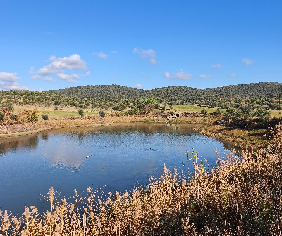 Riva Toscana Golf Resort & Spa主图