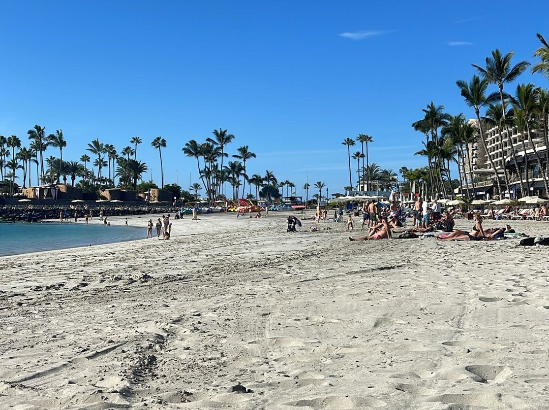 Playa Anfi del Mar-Barranco de la Verga必去景点