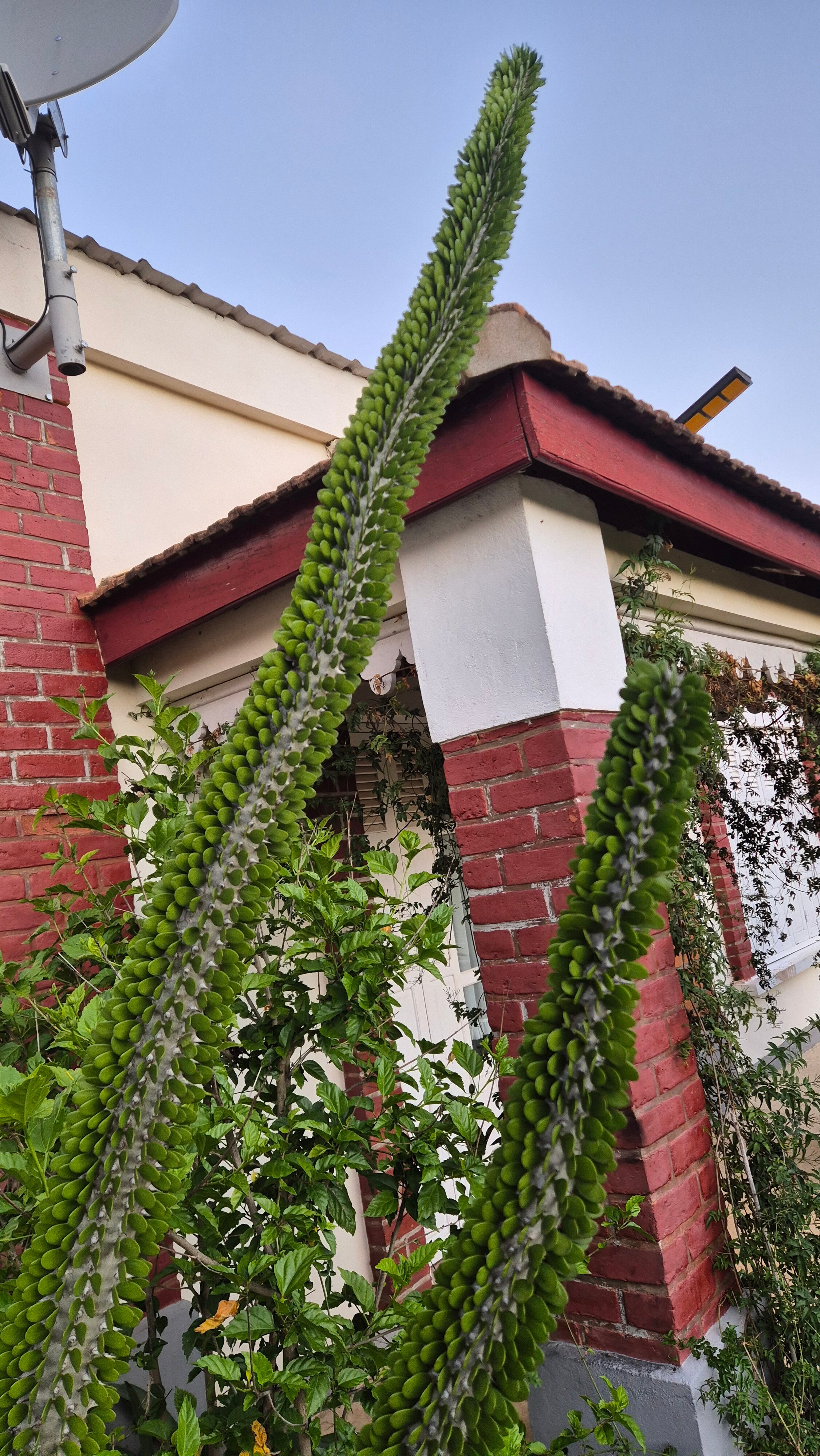 Betsileo Country Lodge-浴室